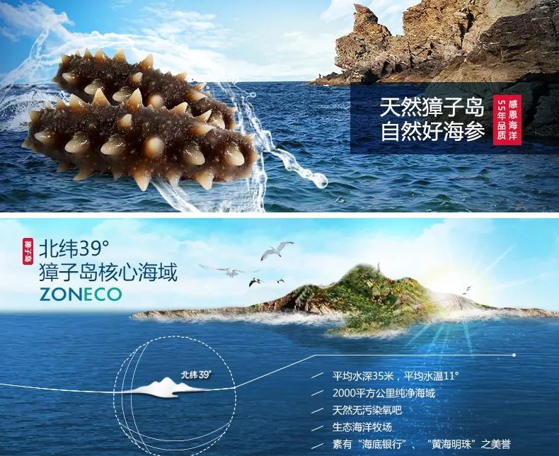 獐子岛海参：北纬39°底播模式下的品质逻辑与产业观察